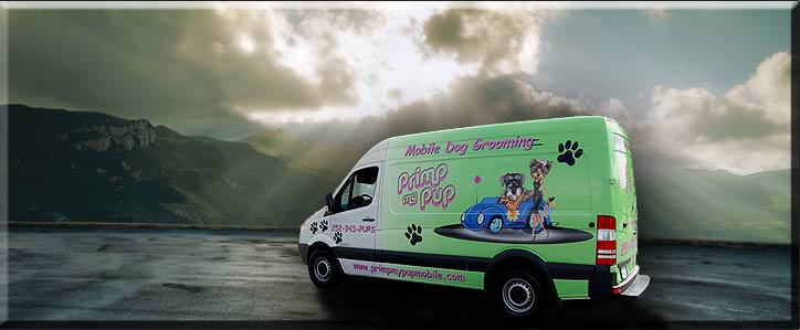 Used dog best sale grooming vans